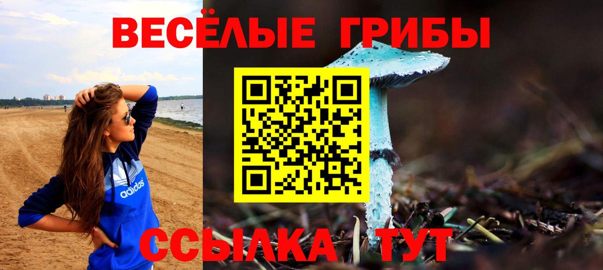 Кисловодск  Галлюциногенные грибы мухоморы  Вход с VPN 